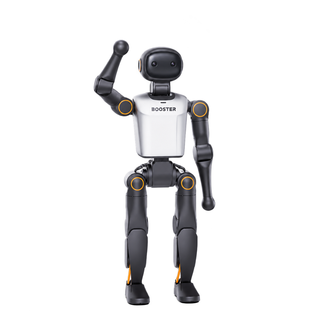 K1 Avancé